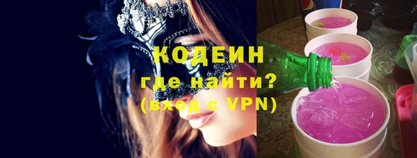 шишки Абаза
