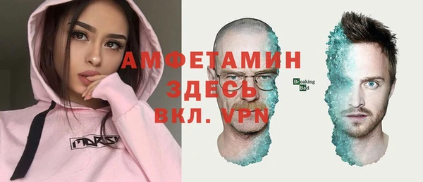 шишки Абаза