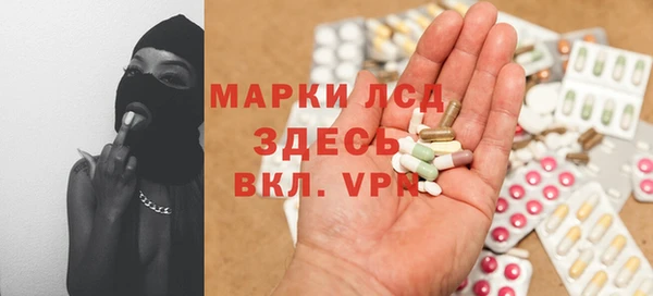 стаф Абинск