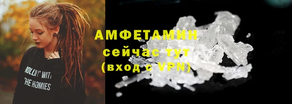 шишки Абаза