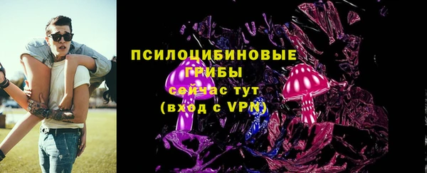 хмурый Алзамай