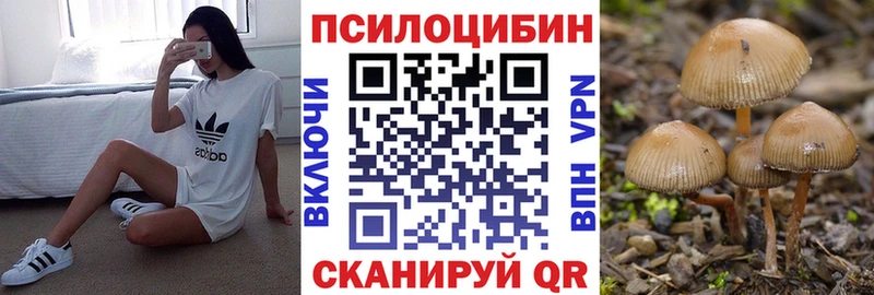 где можно купить наркотик  ОМГ ОМГ зеркало  Псилоцибиновые грибы Cubensis  Нелидово 