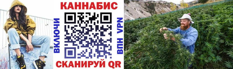 Бошки Шишки VHQ  Нелидово 